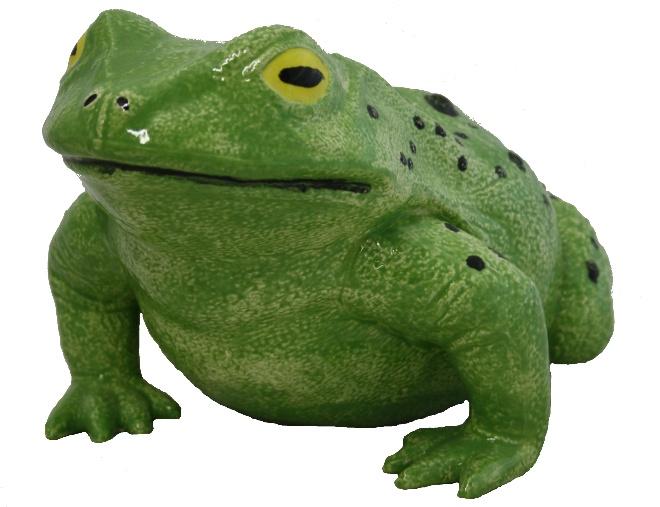 Teichfrosch "Prinz" 