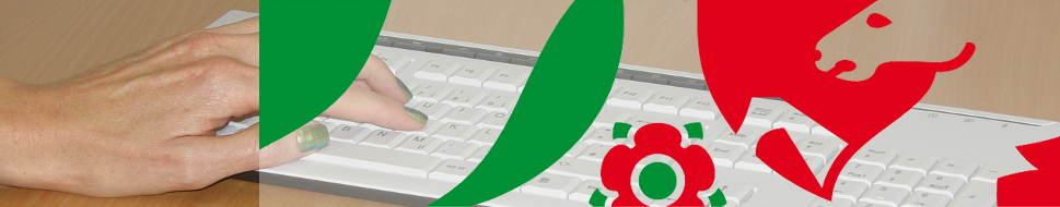 Dekobanner 15