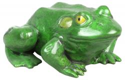 Frosch 'Froggi'
