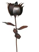 Kupferrose 